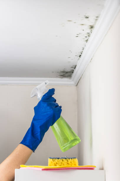 Best Water Damage Restoration  in Elkhart Lake, WI